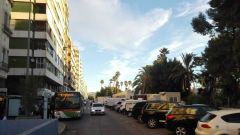 Elche.