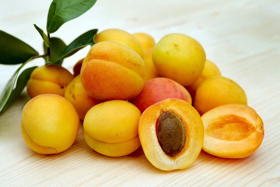 Aumenta el interés de la población española en la recogida de la fruta Aumenta el interés de la población española en la recogida de la fruta