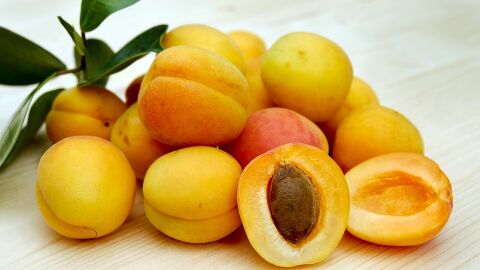 En breve comenzar&aacute; la recogida de la fruta de hueso