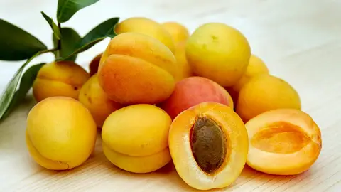En breve comenzará la recogida de la fruta de hueso En breve comenzará la recogida de la fruta de hueso