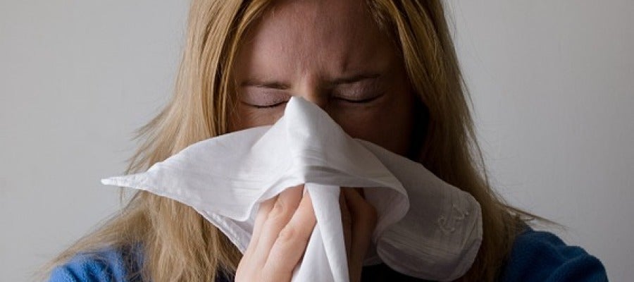 La gripe, gran enemiga otoñal. La gripe, gran enemiga otoñal.