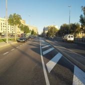 Elche.
