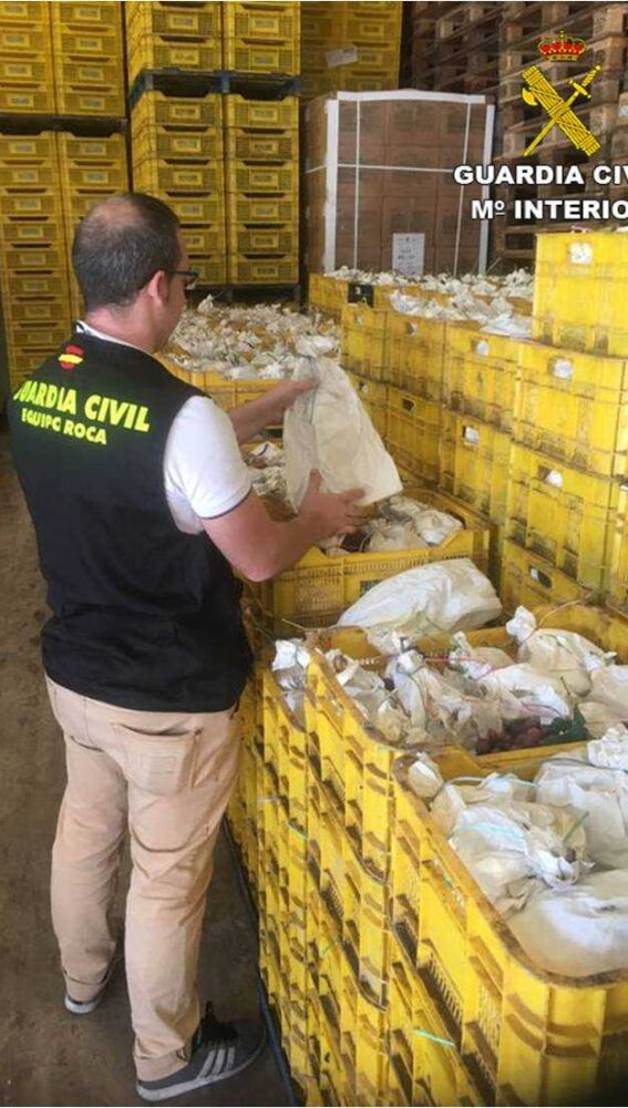 Uva robada incautada por la Guardia Civil 