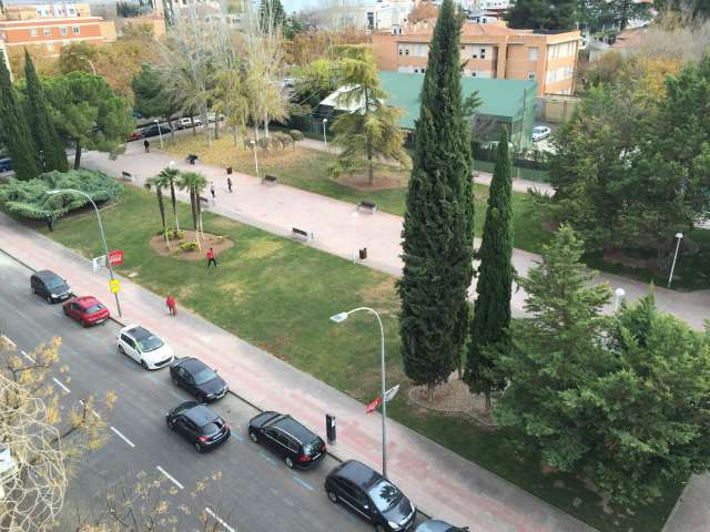 Atropello de un niño de cinco años en Ciudad Real Atropello de un niño de cinco años en Ciudad Real