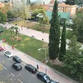 El atropello ha ocurrido en el Torreón El atropello ha ocurrido en el Torreón