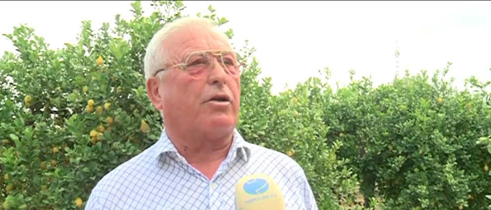 Zamora: "Si Sergio Ramos y Susana Hernández piden disculpas, retiraré la denuncia" Zamora: "Si Sergio Ramos y Susana Hernández piden disculpas, retiraré la denuncia"