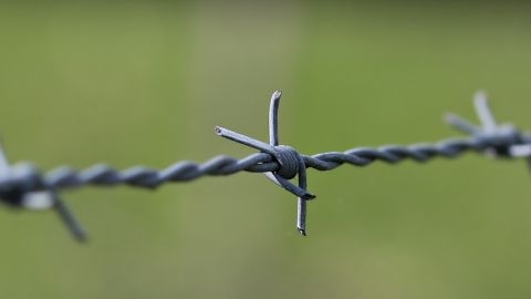 Cuando la electricidad fue como internet