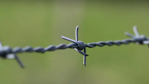 Cuando la electricidad fue como internet Cuando la electricidad fue como internet