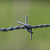Cuando la electricidad fue como internet Cuando la electricidad fue como internet