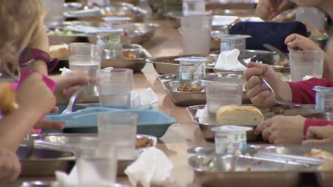 ¿Qué ventajas tienen los comedores ecológicos? ¿Qué ventajas tienen los comedores ecológicos?