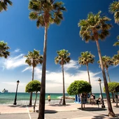 Marbella Marbella