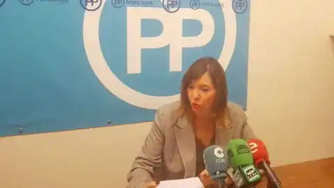 Mercedes Alonso, portavoz del PP en el Ayuntamiento de Elche Mercedes Alonso, portavoz del PP en el Ayuntamiento de Elche