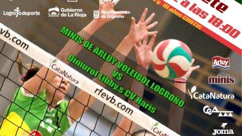Voleibol Logro&ntilde;o