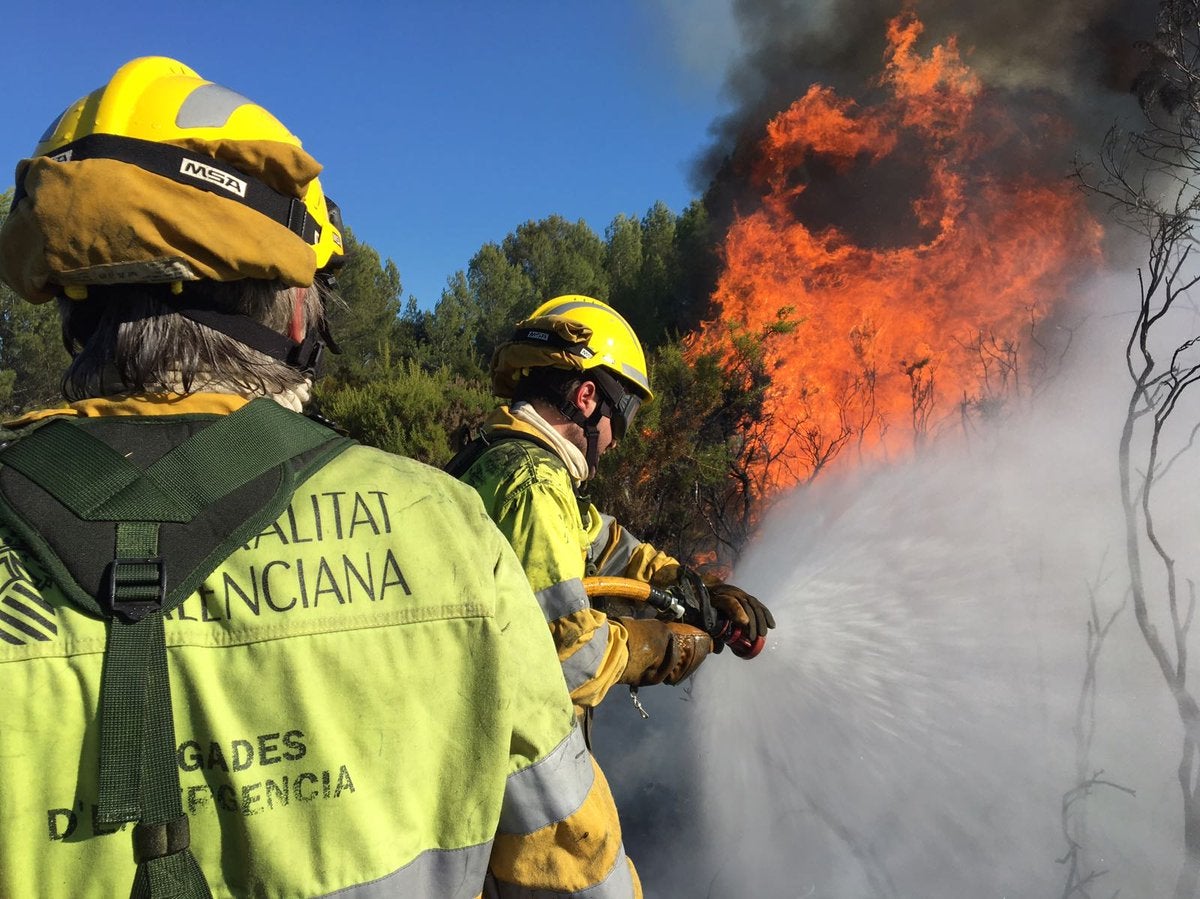 UGT denuncia la merma de efectivos de bomberos destinados a proteger el Parque Natural del Turia UGT denuncia la merma de efectivos de bomberos destinados a proteger el Parque Natural del Turia