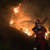 ¿Qué consecuencias tiene para el medio ambiente los incendios forestales de Galicia?