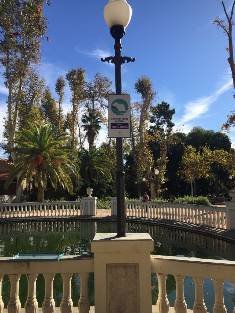 Salud Pública recomienda no alimentar a los patos en los parques para evitar ratas y alimañas Salud Pública recomienda no alimentar a los patos en los parques para evitar ratas y alimañas