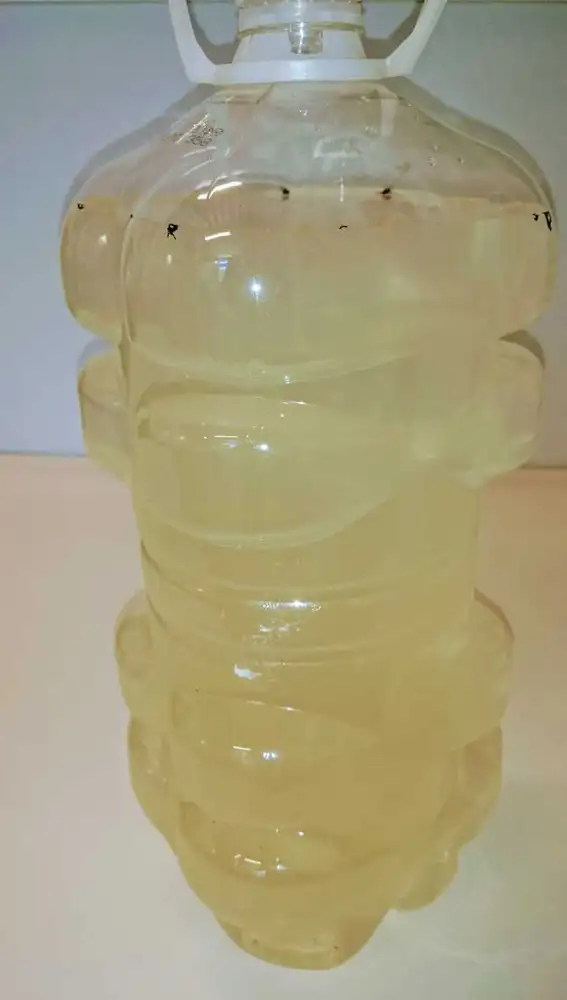Agua que sale del grifo de la Asociación Parkinson Elche cuando el suministro ha vuelto puntualmente en las últimas semanas Agua que sale del grifo de la Asociación Parkinson Elche cuando el suministro ha vuelto puntualmente en las últimas semanas