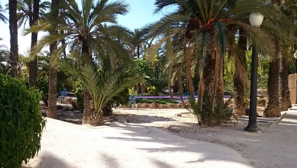 Obras en el Huerto de Montenegro en cuyo interior se encuentra la sede de la Asociación Parkinson Elche Obras en el Huerto de Montenegro en cuyo interior se encuentra la sede de la Asociación Parkinson Elche