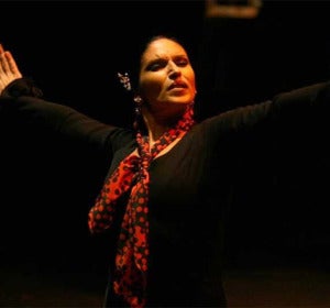 flamenco flamenco