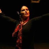 flamenco flamenco