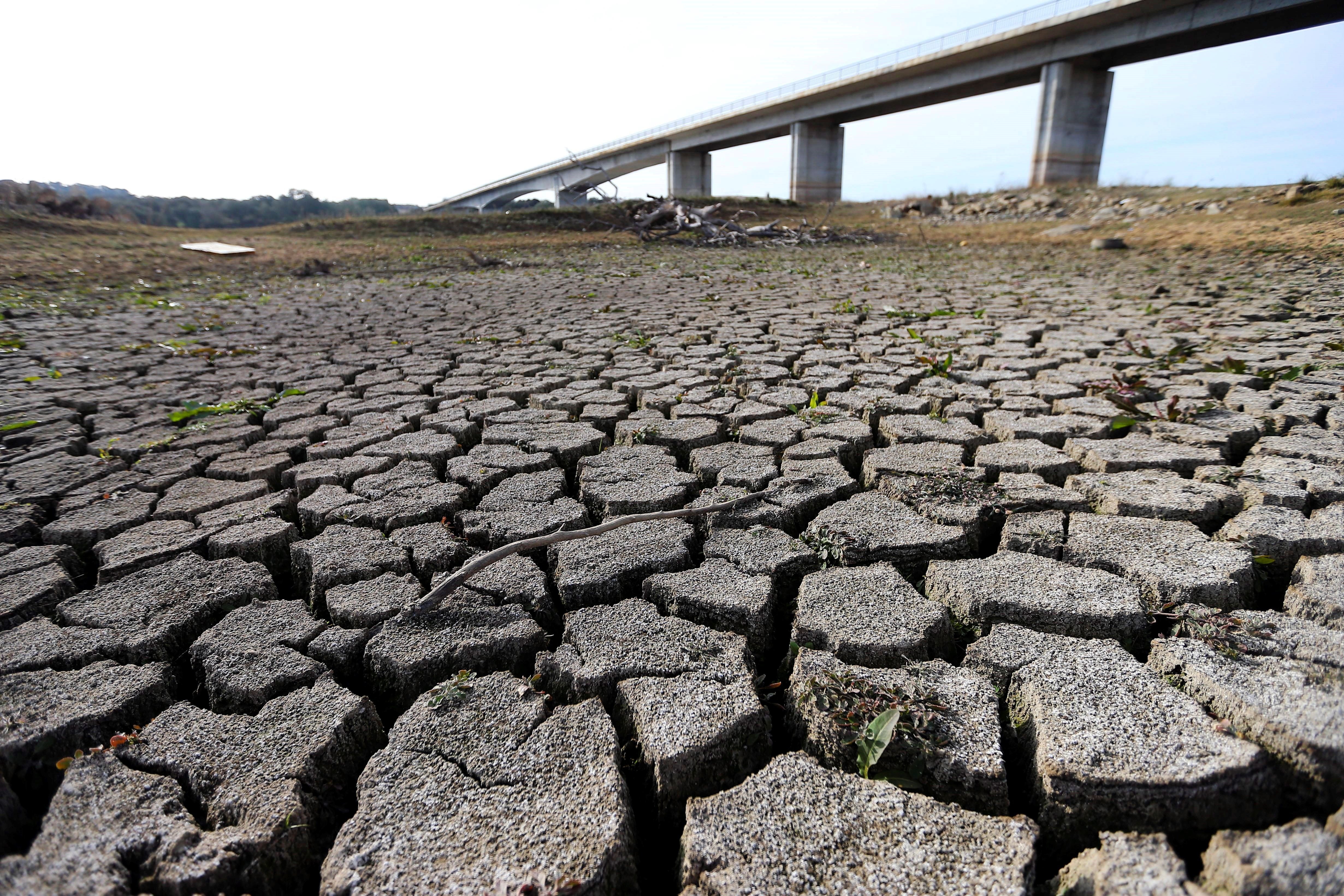 El Consejo de Ministros prorroga la situación de sequía prolongada en las cuencas del Segura y del Júcar hasta septiembre de 2019 El Consejo de Ministros prorroga la situación de sequía prolongada en las cuencas del Segura y del Júcar hasta septiembre de 2019