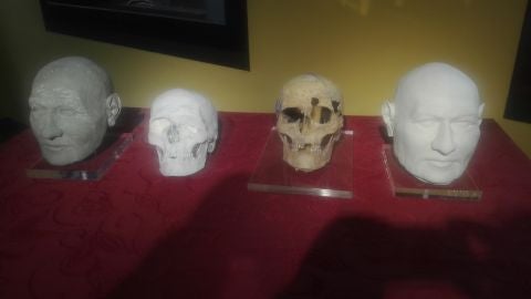 Reconstrucci&oacute;n de la cara de Luciano