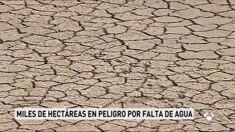 Situación extrema en los campos de regadío a consecuencia de la sequía