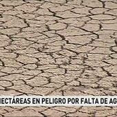 Situación extrema en los campos de regadío a consecuencia de la sequía