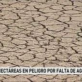 Situación extrema en los campos de regadío a consecuencia de la sequía Situación extrema en los campos de regadío a consecuencia de la sequía