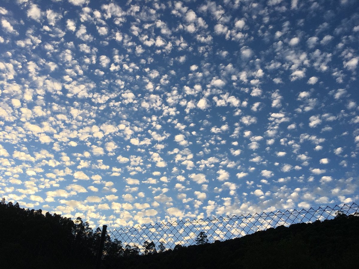 El viento sur activa los avisos naranja y amarillo en el interior de Cantabria El viento sur activa los avisos naranja y amarillo en el interior de Cantabria