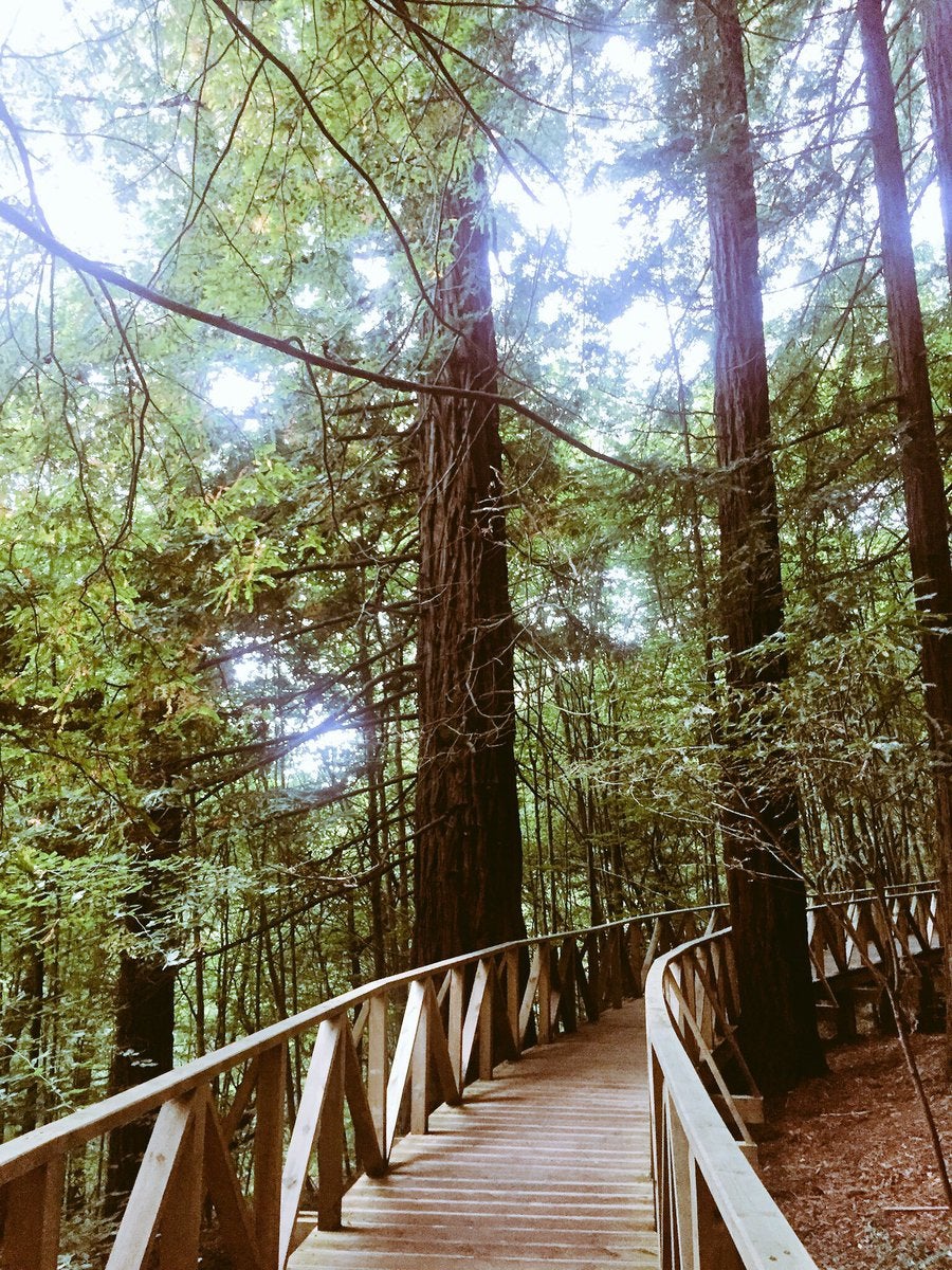 Menos abrazos a partir del verano para que vivan más Menos abrazos a partir del verano para que vivan más