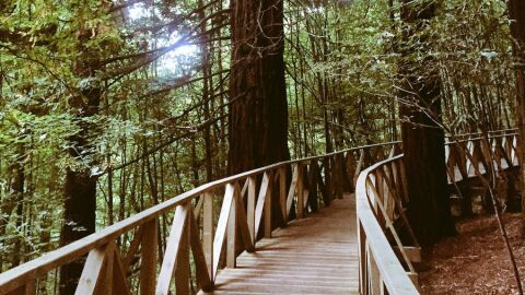 Para 'Destino Cantabria 2017'