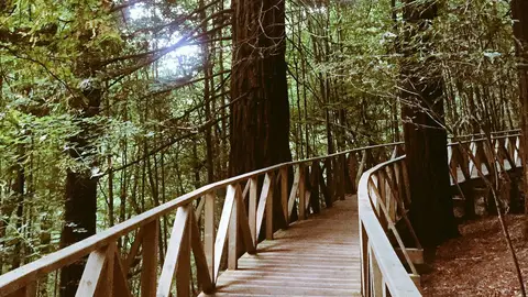 El perfil de Twitter del Restaurante La Retama envía varias fotos del Bosque de Secuoyas de Cabezón de la Sal Para 'Destino Cantabria 2017'