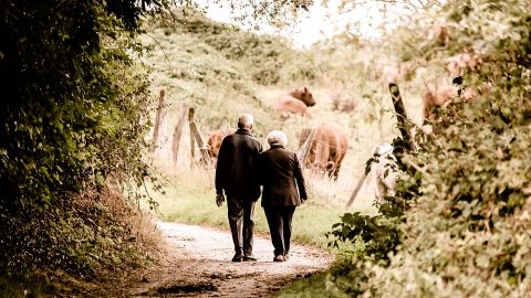 Desarrollan una herramienta que podría evaluar el riesgo de padecer Alzheimer 