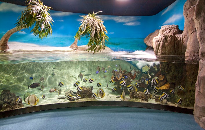 Gijón en la Onda 23/07/2019 con Ana Fierro Gijón en la Onda 23/07/2019 con Ana Fierro