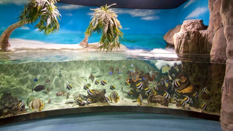 Acuario de Gij&oacute;n