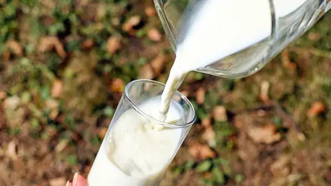 Leche Leche