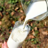 Leche Leche