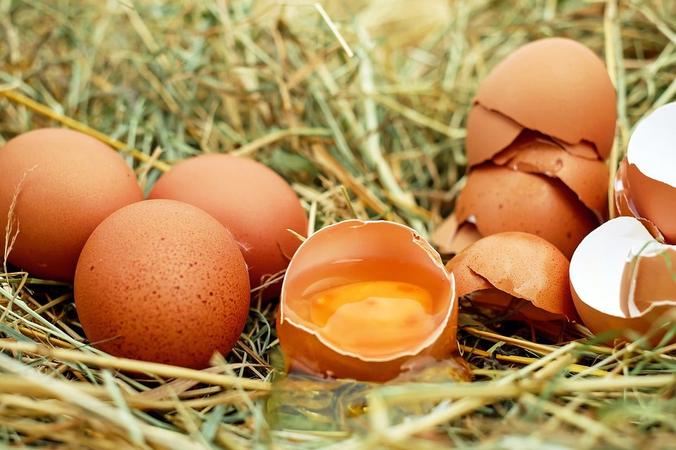 Francia prohibirá a partir de 2022 la venta de huevos de gallinas criadas en jaulas Francia prohibirá a partir de 2022 la venta de huevos de gallinas criadas en jaulas