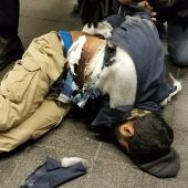 El sospechoso del intento de atentado en Nueva York