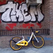 Destrozo de las bicicletas públicas de alquiler Destrozo de las bicicletas públicas de alquiler