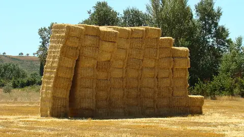 Paja de trigo para sustituir los plasticos de las baterias de litio Paja de trigo para sustituir los plasticos de las baterias de litio