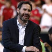 El entrenador del Mallorca, Vicente Moreno.