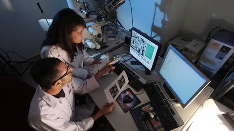 Investigadores diseñan un innovador método que podría detectar el cáncer de una manera rápida y precisa Investigadores diseñan un innovador método que podría detectar el cáncer de una manera rápida y precisa