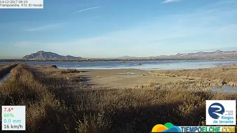 Imagen de la webcam de TiempoElche instalada en el Parque Natural de El Hondo Imagen de la webcam de TiempoElche instalada en el Parque Natural de El Hondo