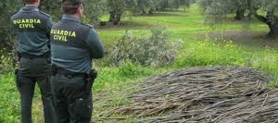 Agentes de la Guardia Civil Agentes de la Guardia Civil
