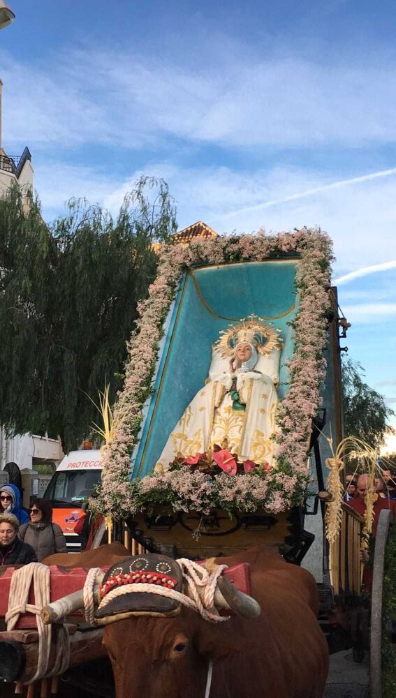 La Virgen de la Asunción es trasladada en romería hasta Elche desde la playa del Tamarit de Santa Pola