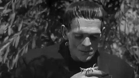 Imagen de Frankenstein Imagen de Frankenstein