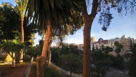 Amanece con cielos despejados