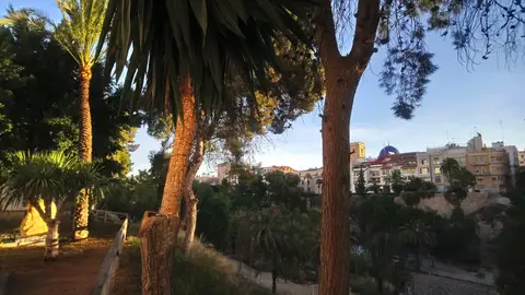 Sol en Elche Amanece con cielos despejados